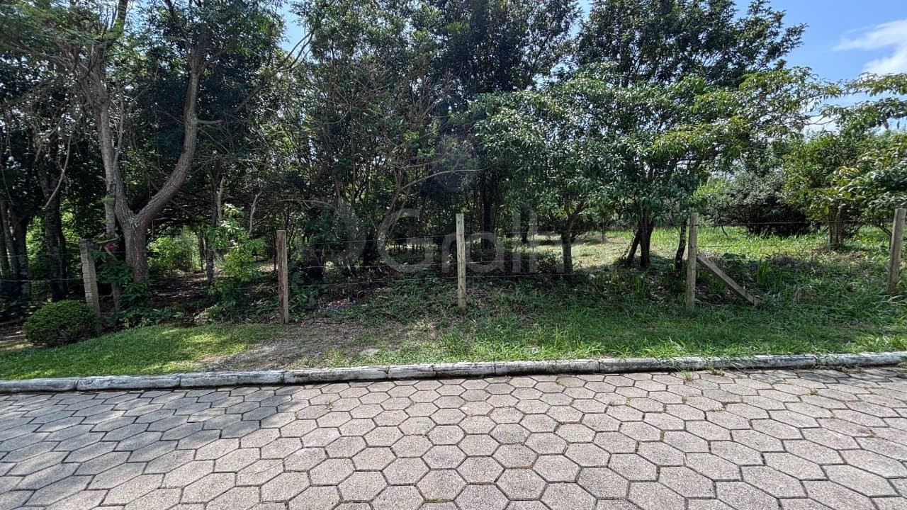 Imagem do anúncio 5