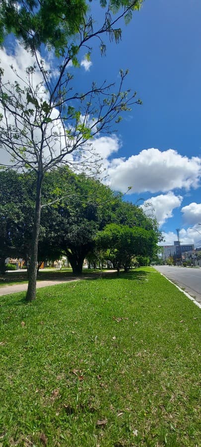 Foto do anúncio número 4