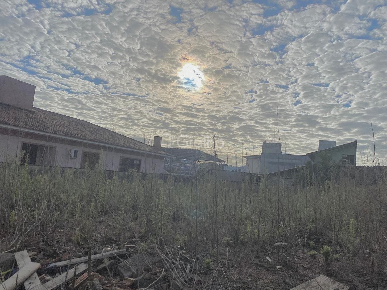 Foto do anúncio número 4