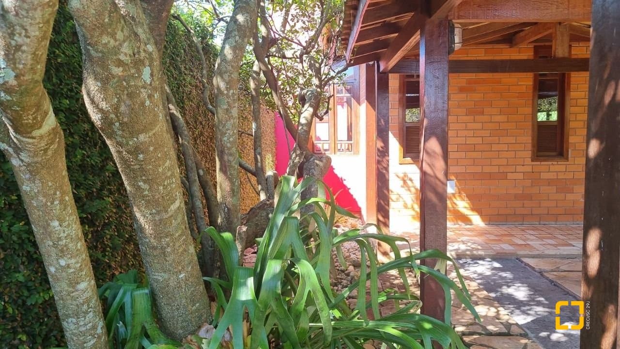 Foto do anúncio número 5