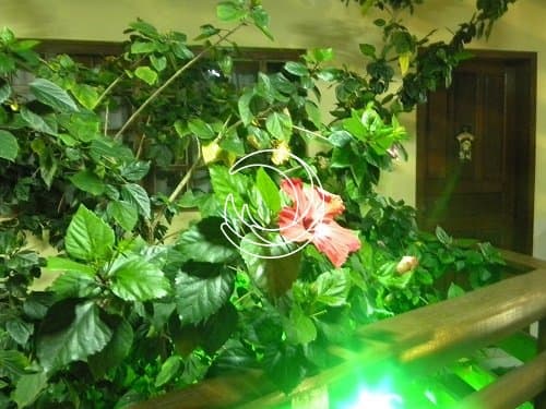 1f2lz-MD_igralhaim10889_1955738.jpg