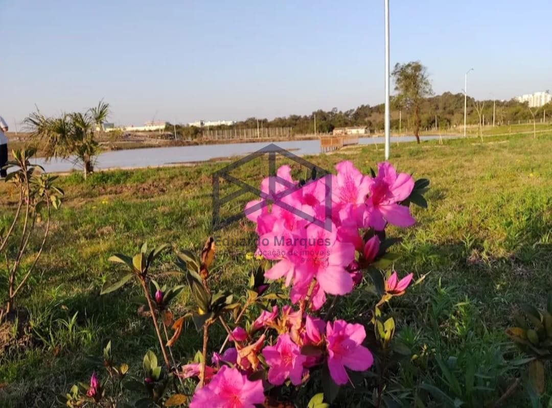Imagem do anúncio 1