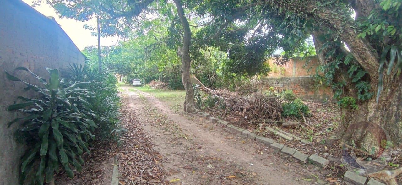 Imagem do anúncio 3