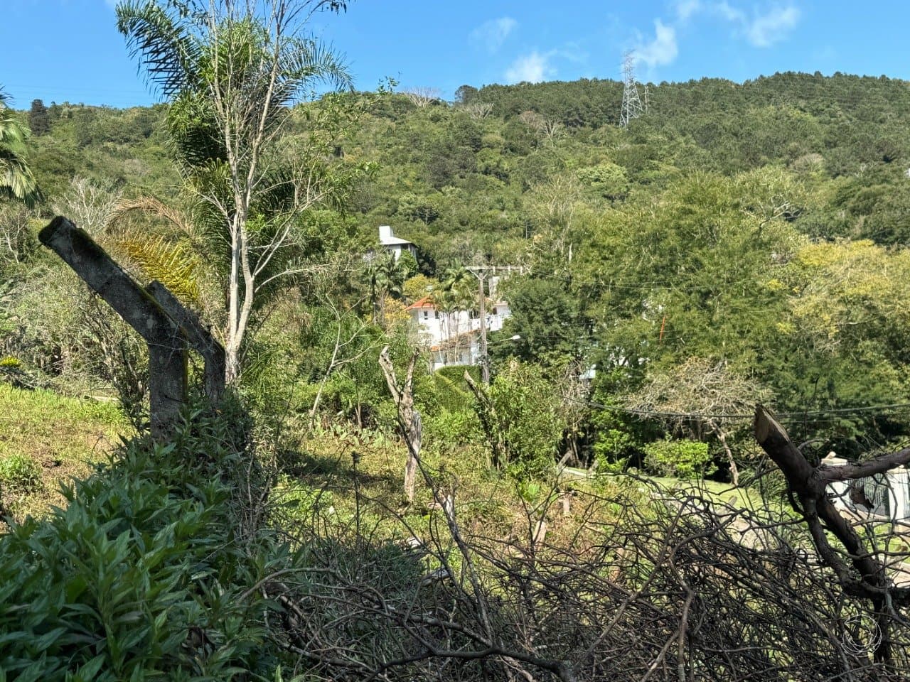 Imagem do anúncio 5
