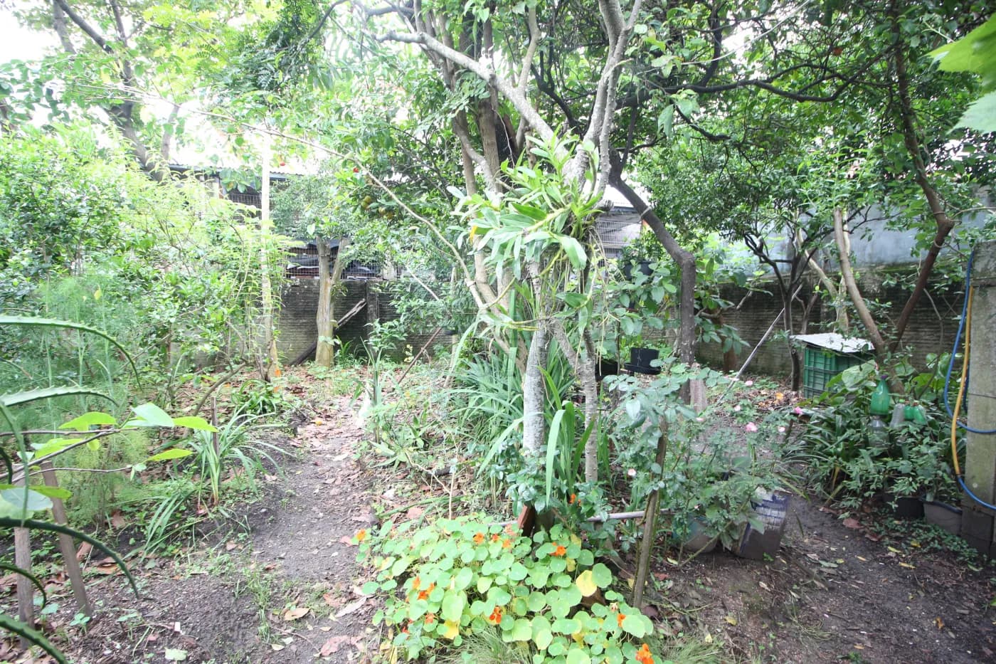 1ip80r-patio.webp