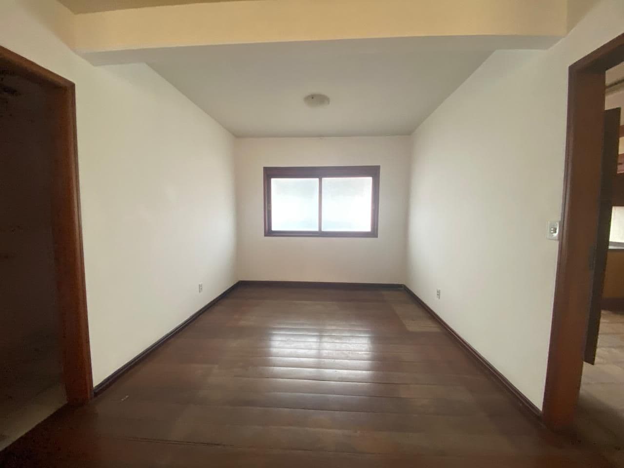 2iu4sq-img-312643787