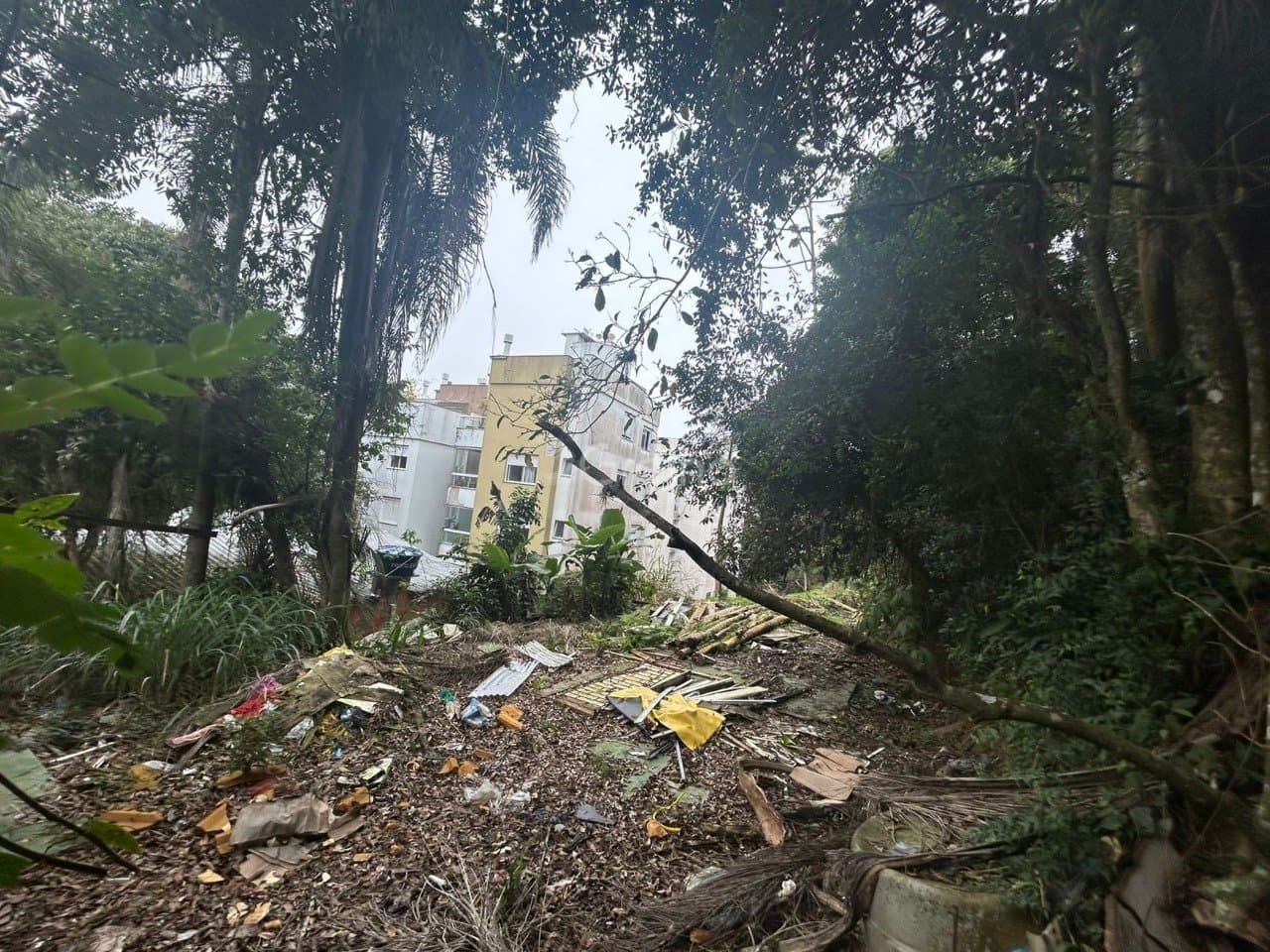 Imagem do anúncio 3