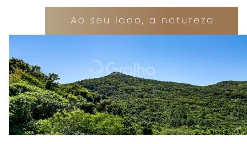 Foto do anúncio número 3