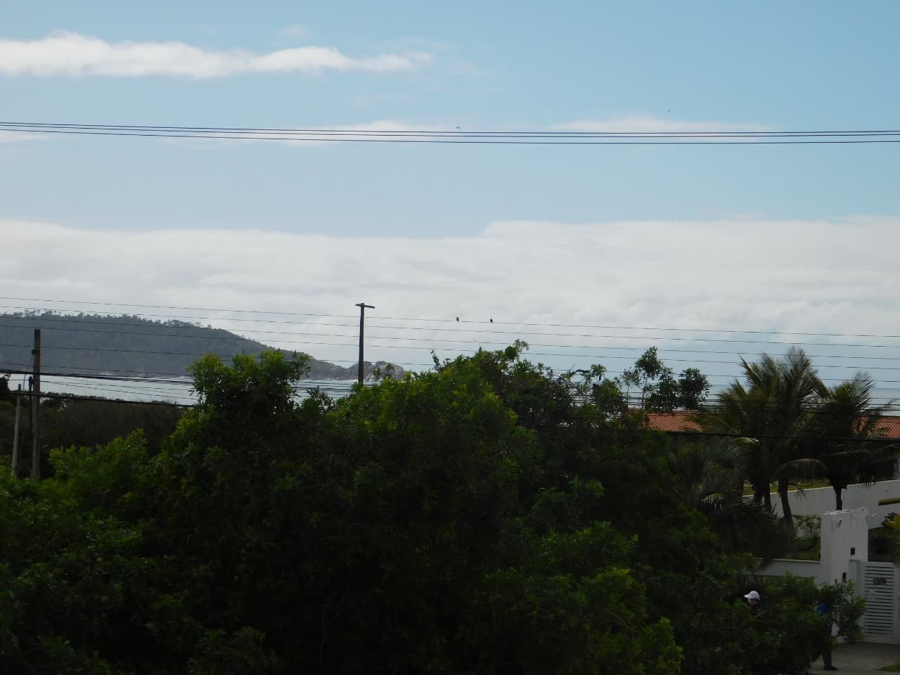 Foto do anúncio número 3