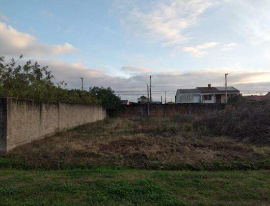 Foto principal do anúncio