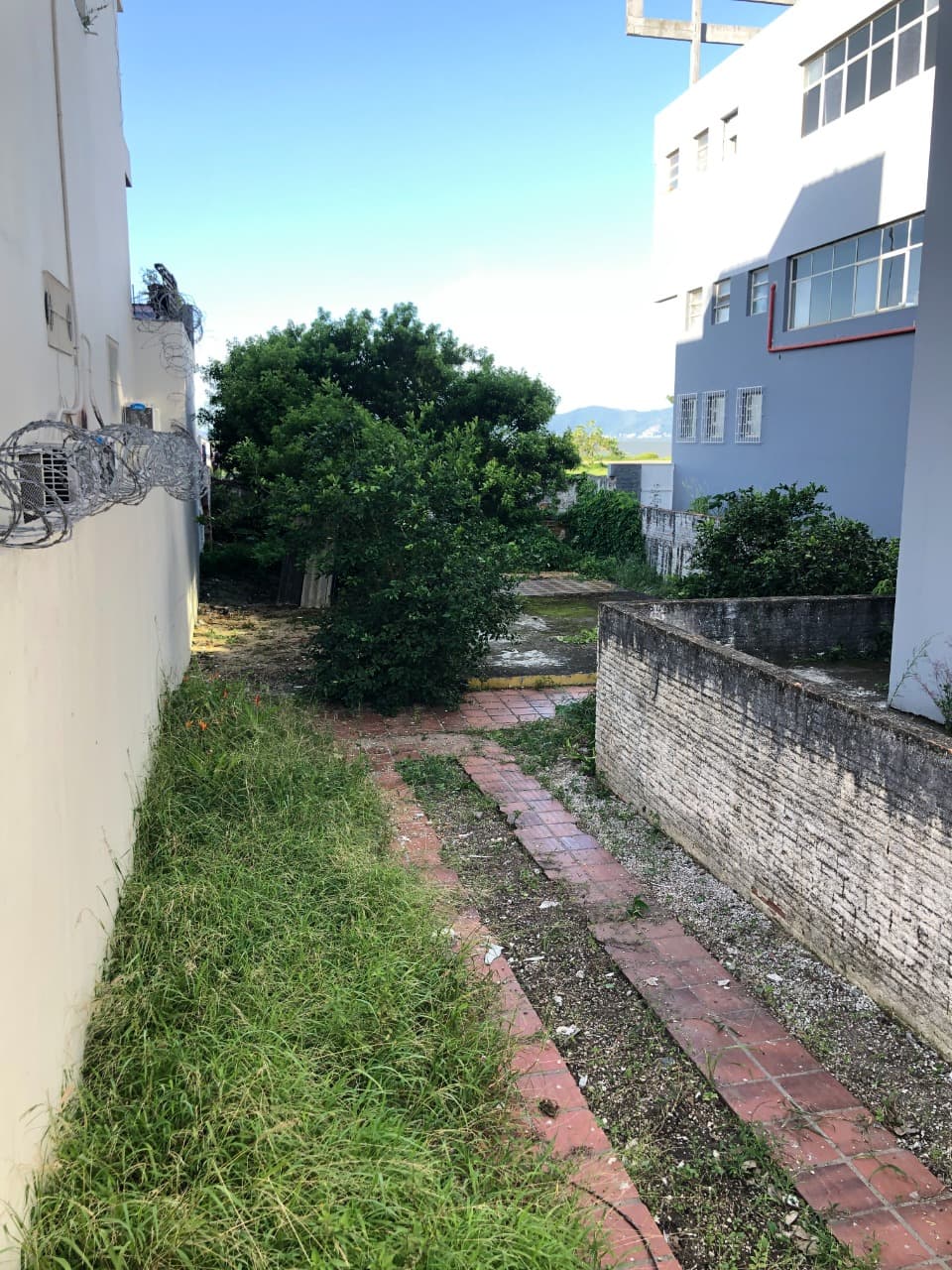 Imagem do anúncio 1