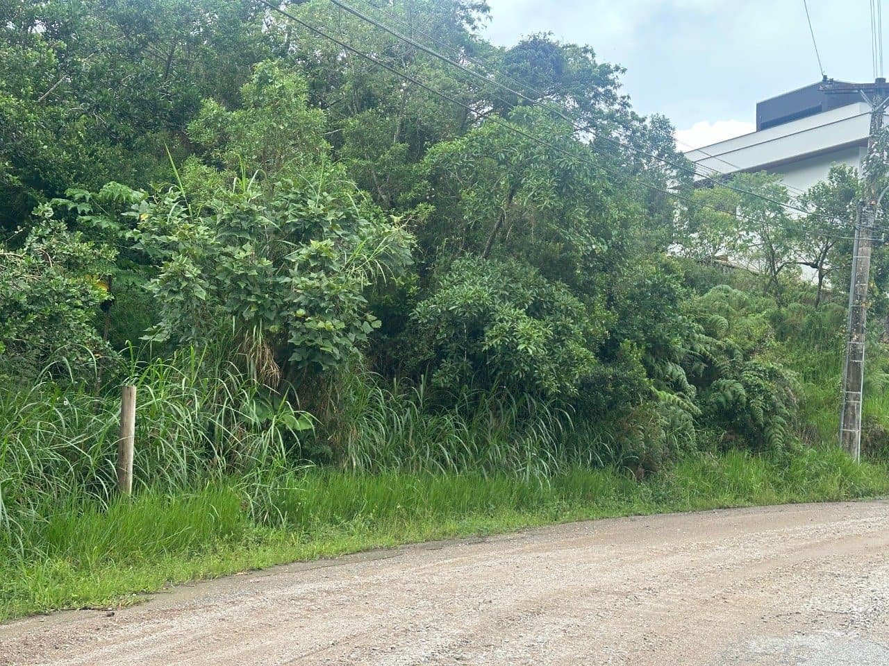 Foto do anúncio número 2