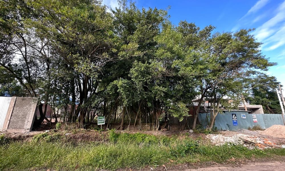 Foto principal do anúncio