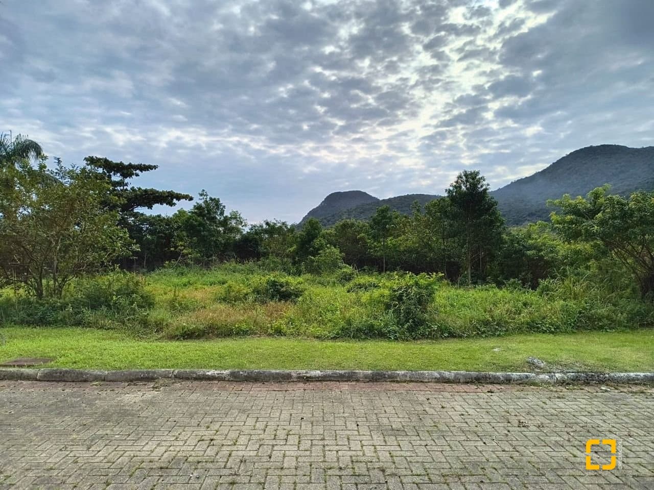 5drloa-iNoE8x6kpj89DP_57505690e096dbf46b.jpg