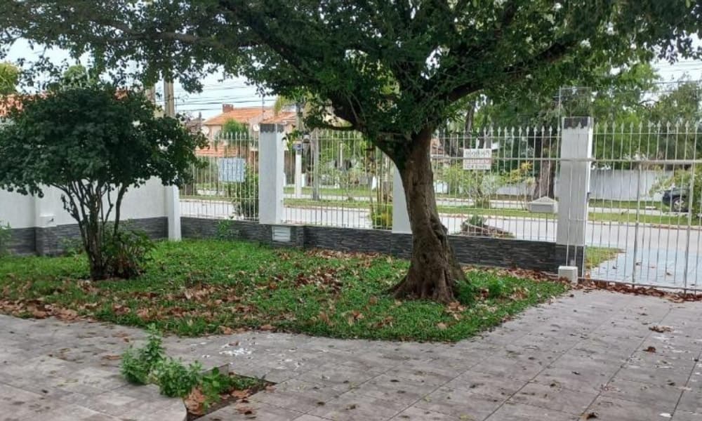 Foto do anúncio número 3