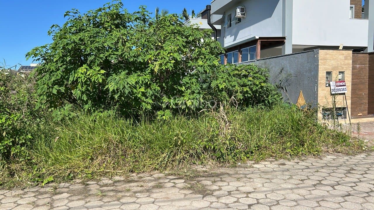 Foto do anúncio número 2