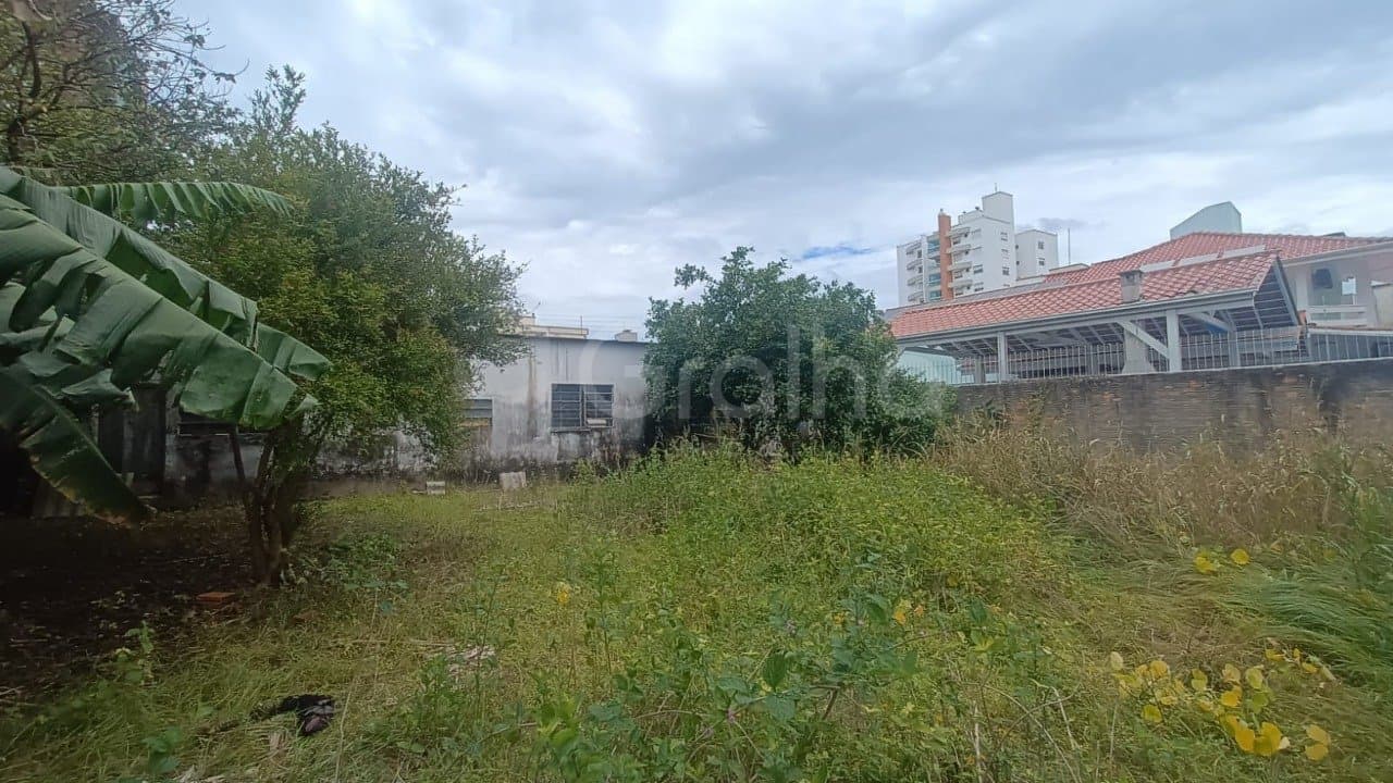 5vix8k-itP51v5y1_39669690892dcc49ca.jpg