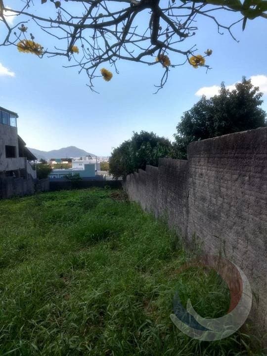 Imagem do anúncio 3