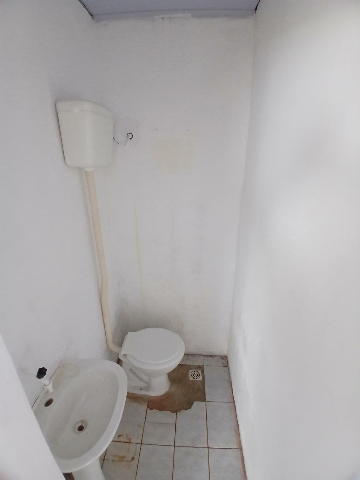 Foto do anúncio número 5