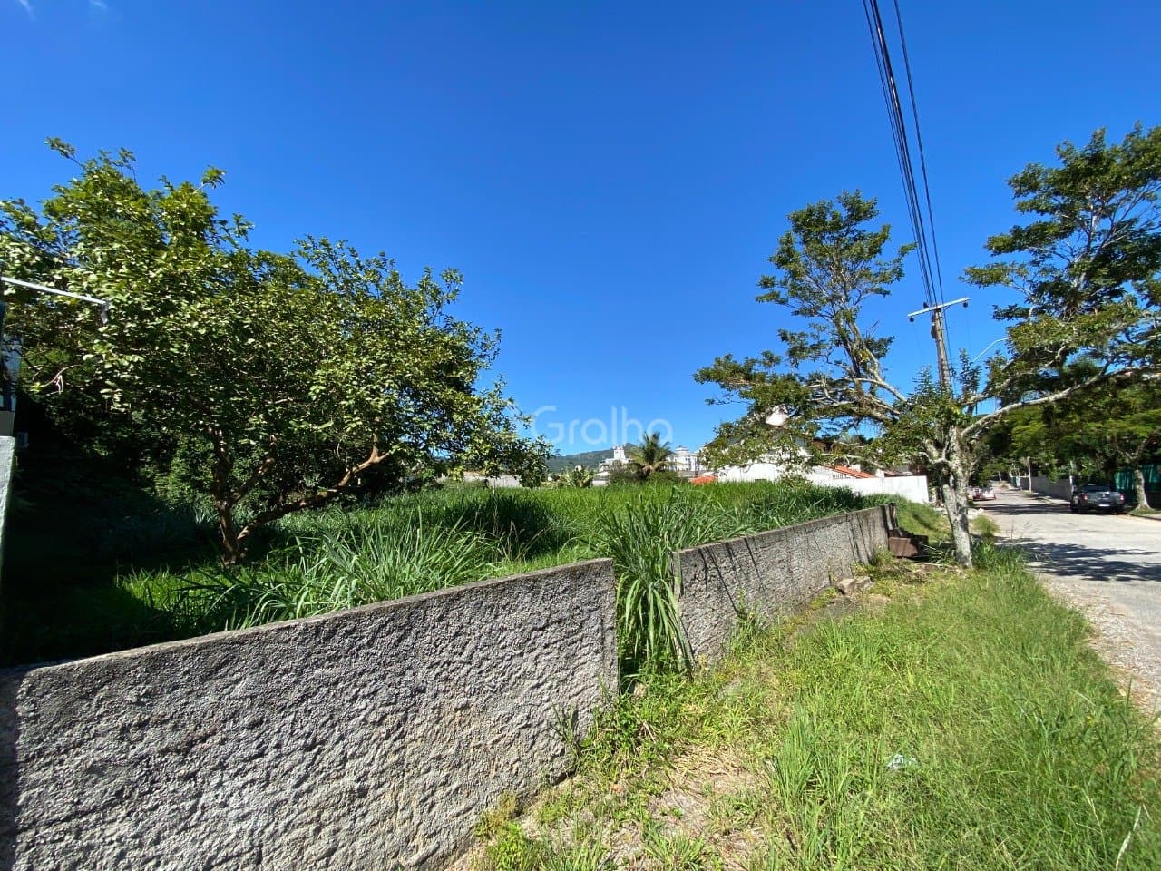 73ofvs-irr36l8_3805168127653b24d9.jpg