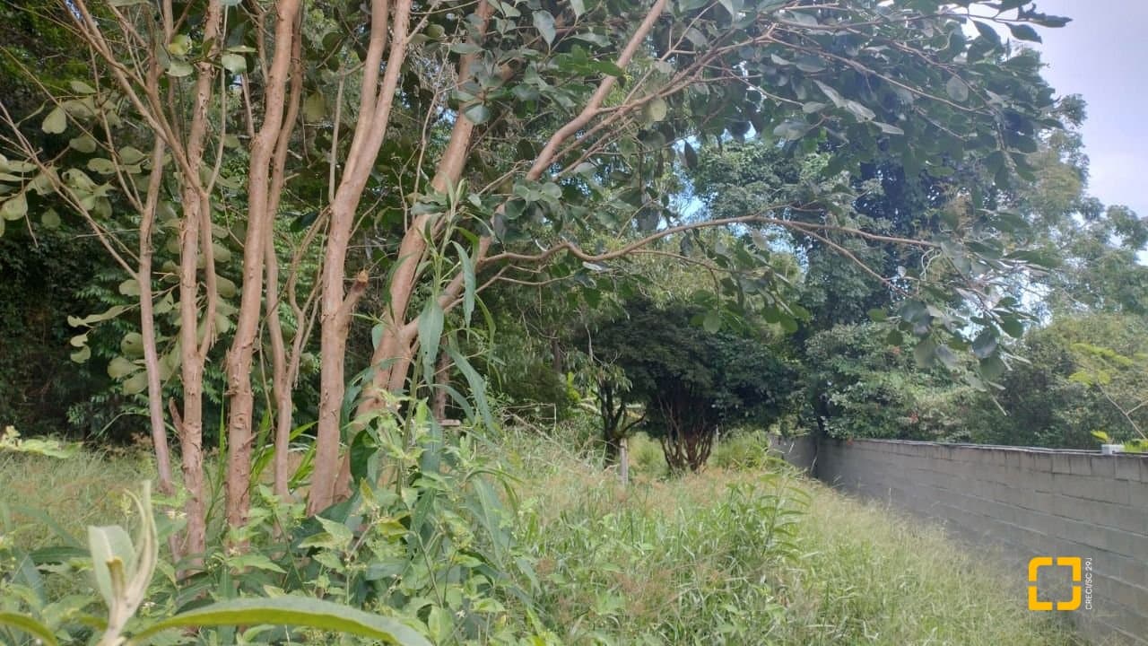 Imagem do anúncio 4