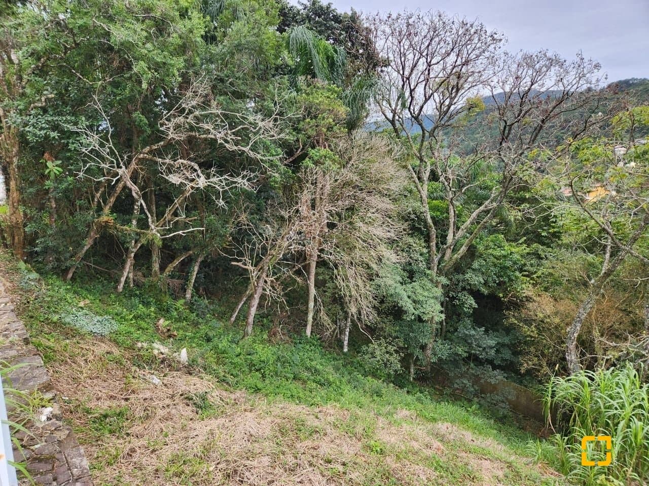 Imagem do anúncio 6