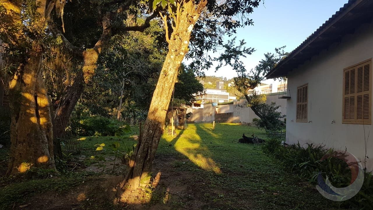Foto do anúncio número 3