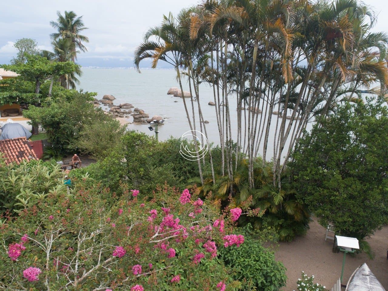 7pp7ea-MD_iSMIp3pota612_173945c6ff958e36e0.jpg