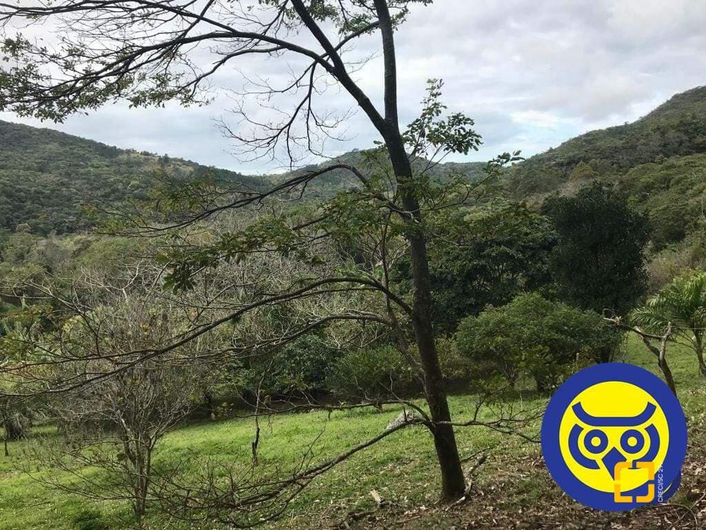 Imagem do anúncio 3