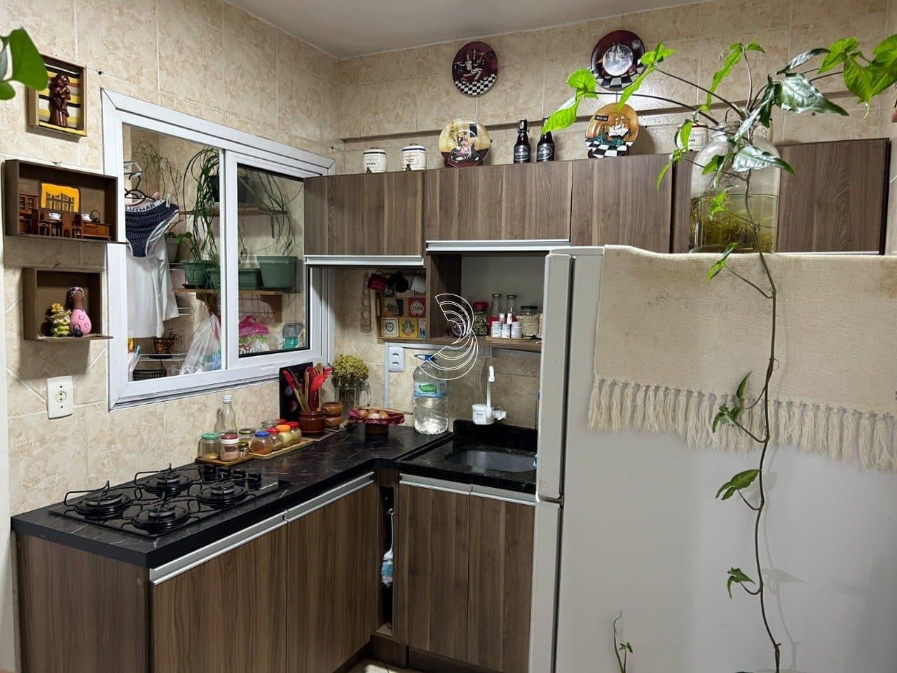 7yon7p-i6HC4272_77669c14beb476a8.jpg