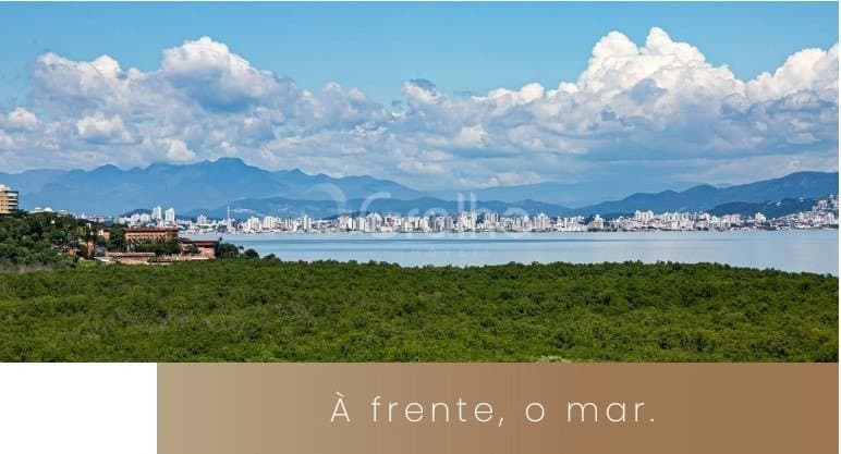 Foto do anúncio número 2