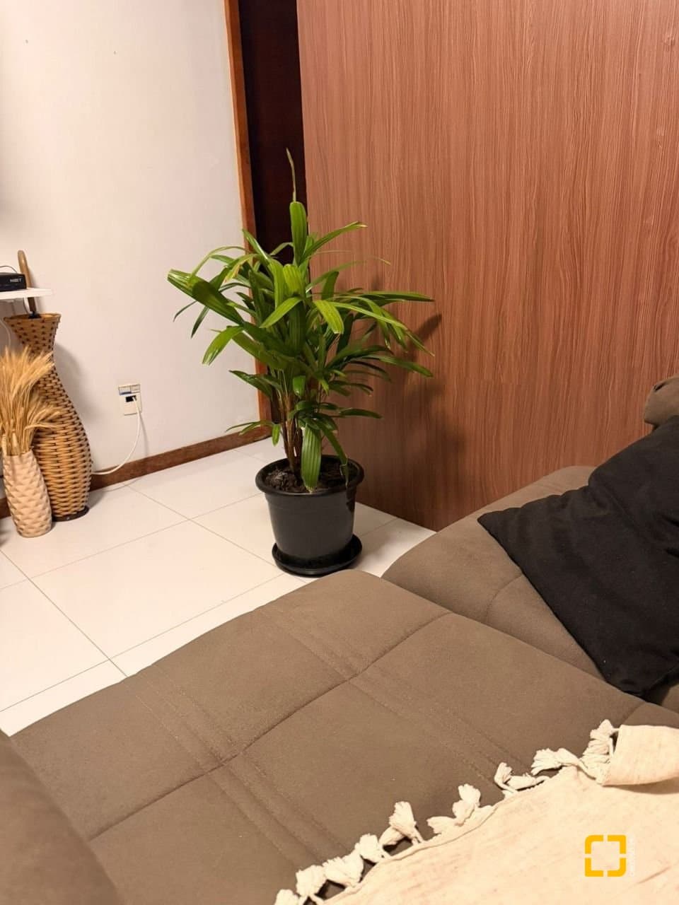 Imagem do anúncio 4