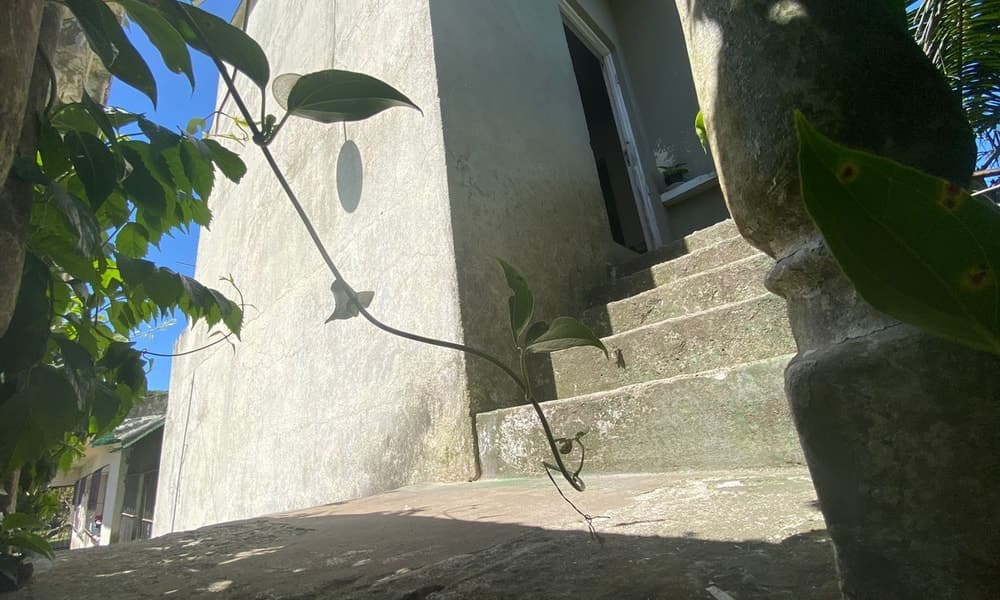 Foto do anúncio número 5