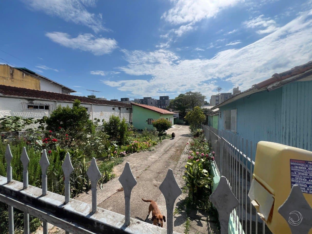 Foto do anúncio número 4