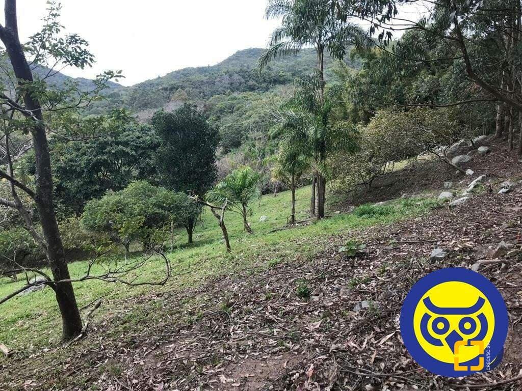 Imagem do anúncio 6