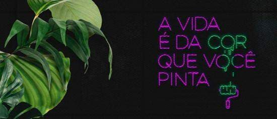 Foto do anúncio número 3