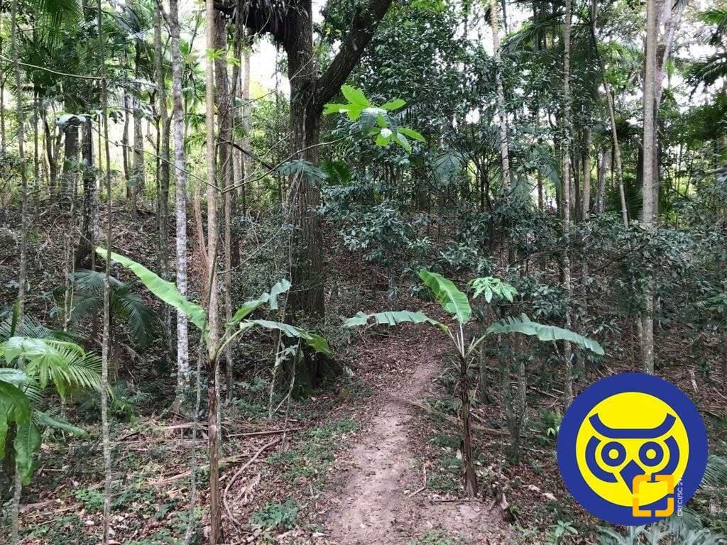 Imagem do anúncio 5