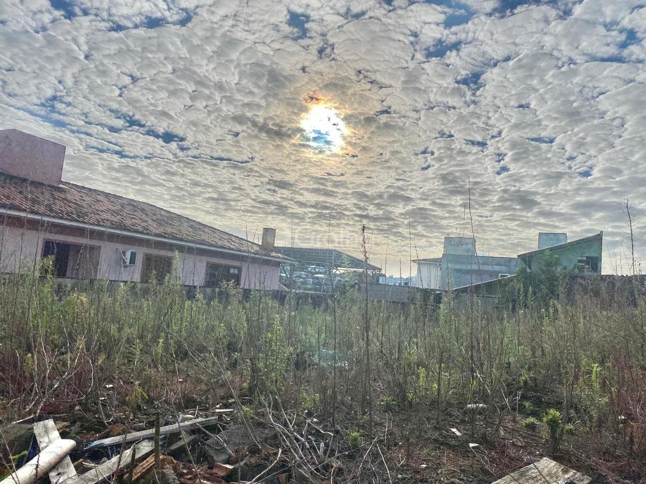 Foto do anúncio número 5