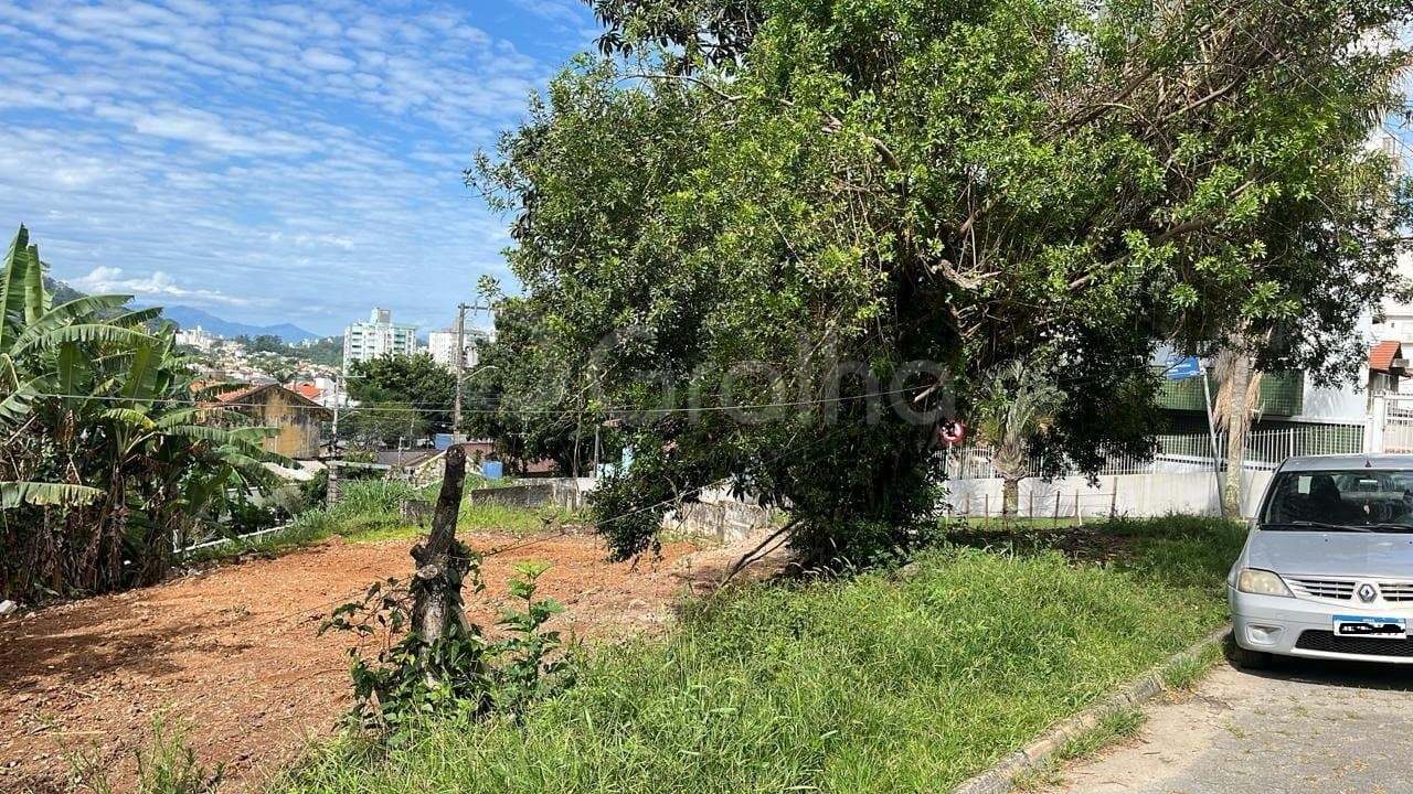 Foto do anúncio número 3