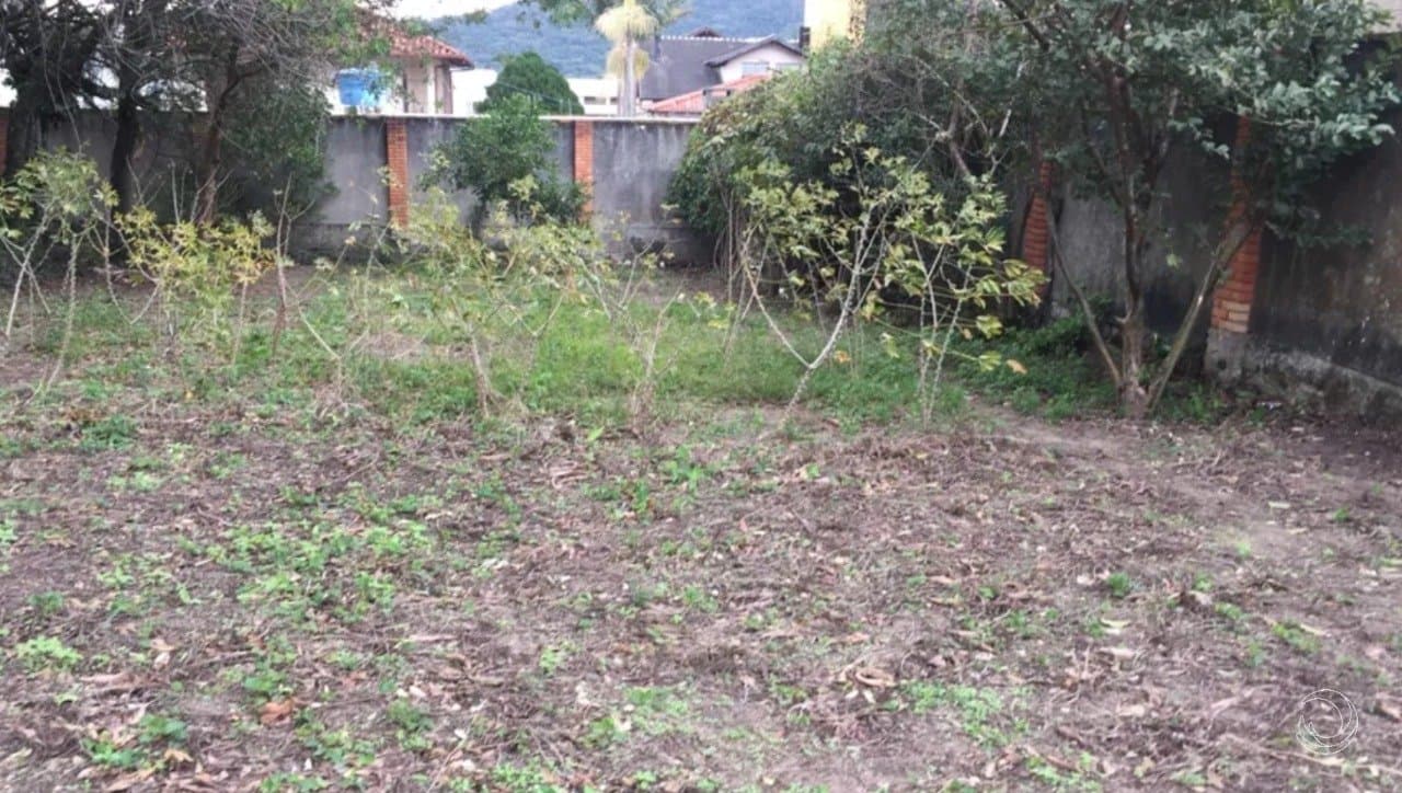 Imagem do anúncio 3