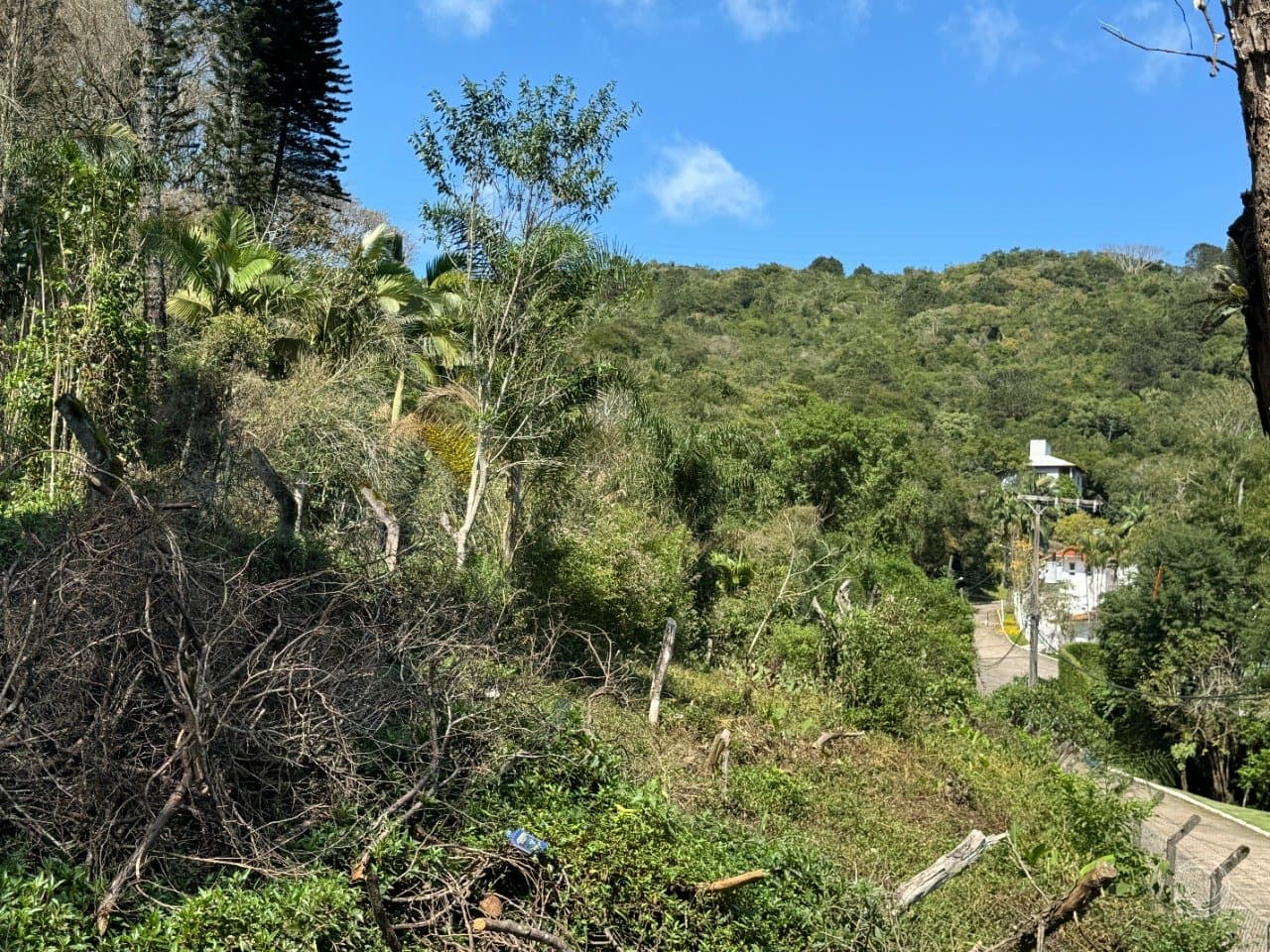 Imagem do anúncio 3