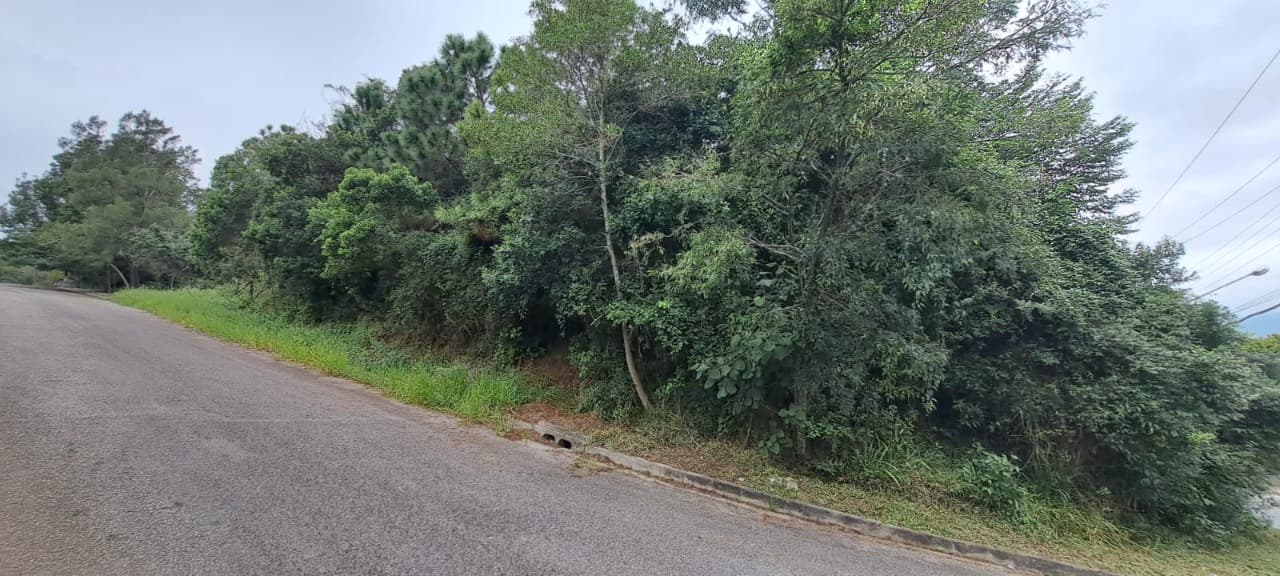 Imagem do anúncio 4