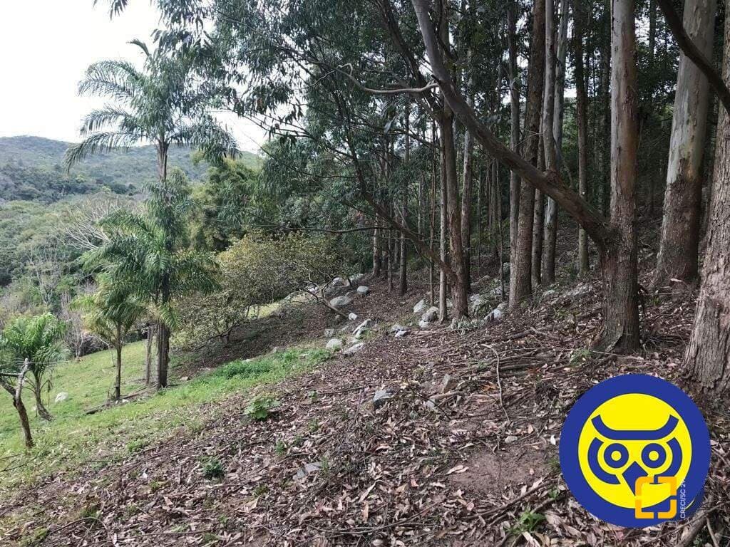 Imagem do anúncio 5