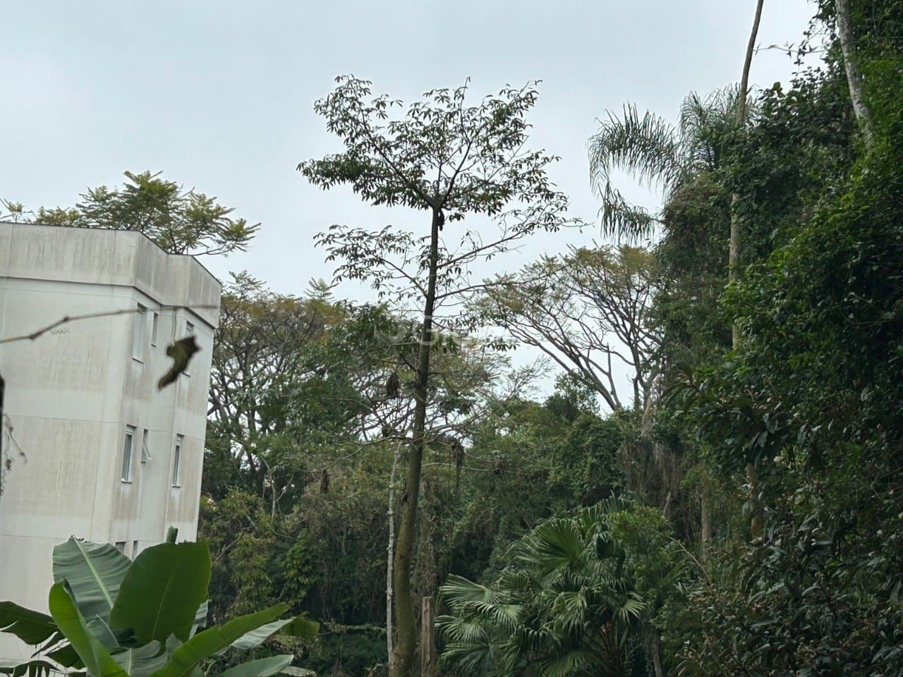 Imagem do anúncio 4