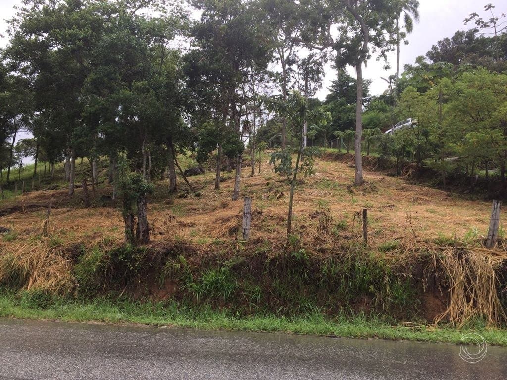 Imagem do anúncio 1