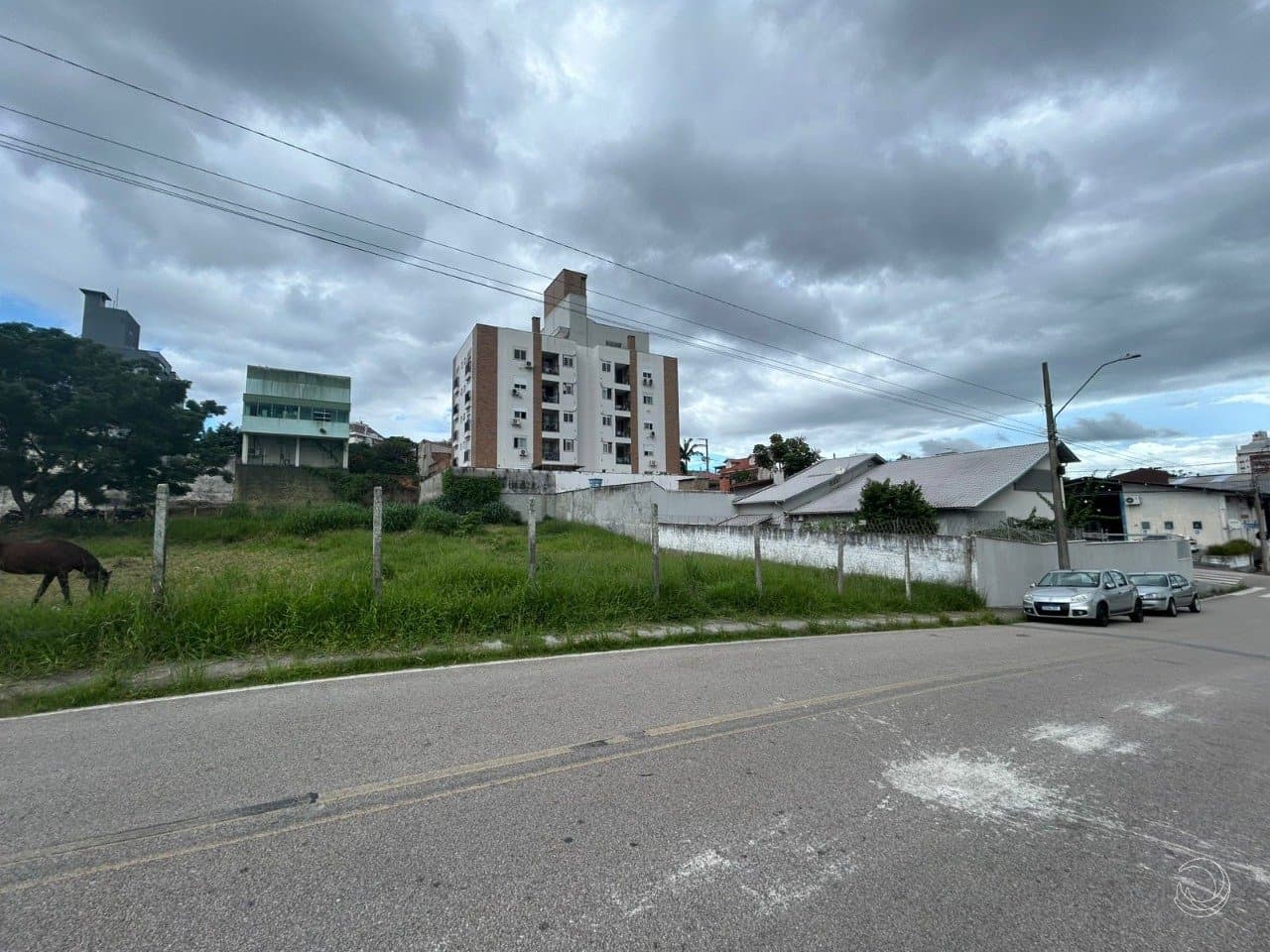 aibxfr-i838nFyWN7U9362_1569667a109fd8e7c6.jpg
