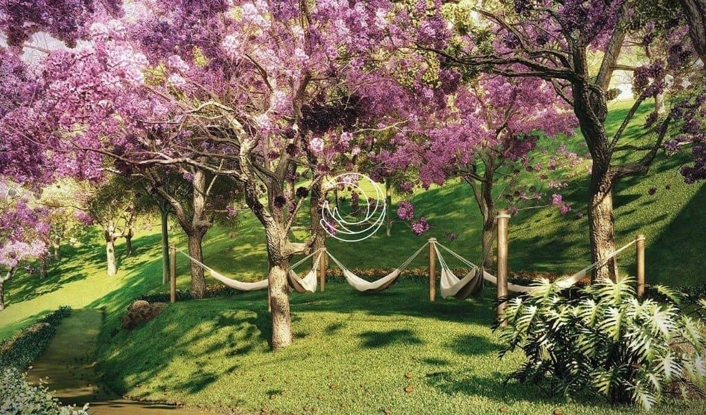 Imagem do anúncio 6
