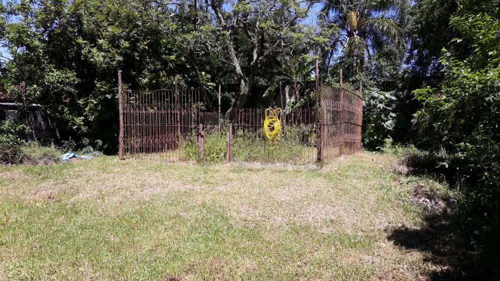 Foto do anúncio número 2