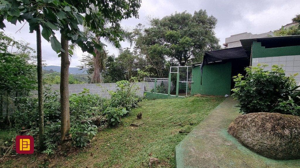 amadrv-iipB58O983P_3950162f582a456b34.jpg