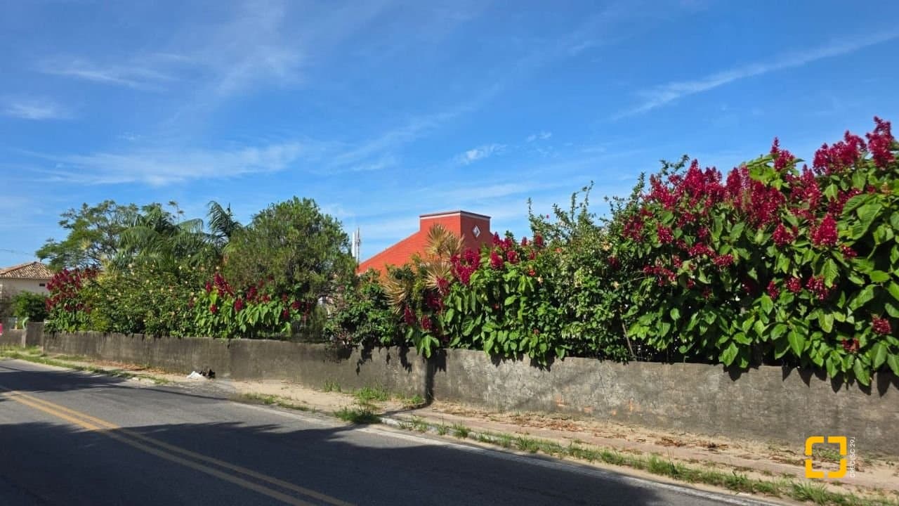 Imagem do anúncio 2